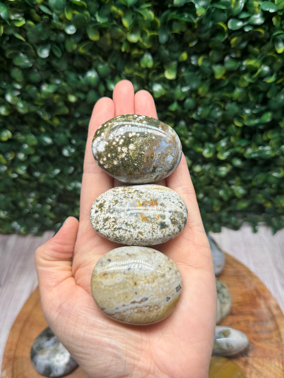 Ocean Jasper Palm Stone 3pc