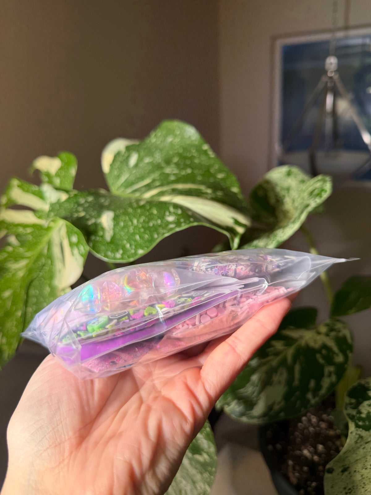 Seasonal Sample Grab Bag
