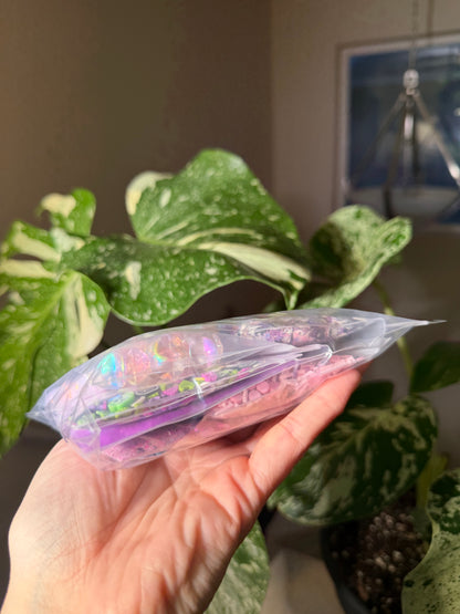 Seasonal Sample Grab Bag