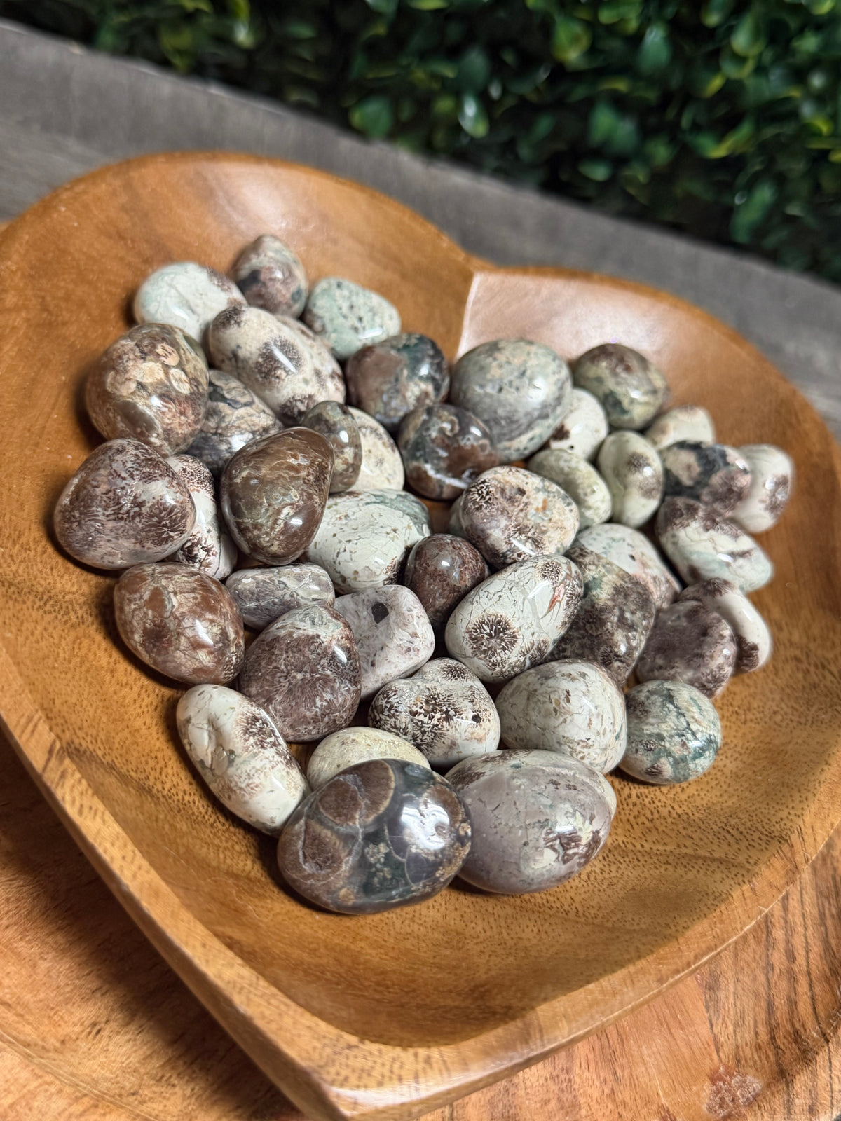 Rhyolite Flower Agate Jasper Tumbles( 3 or 4pc depending on size )