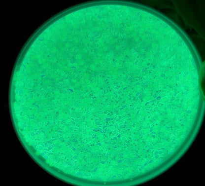 Paranormal ( Glow In The Dark)