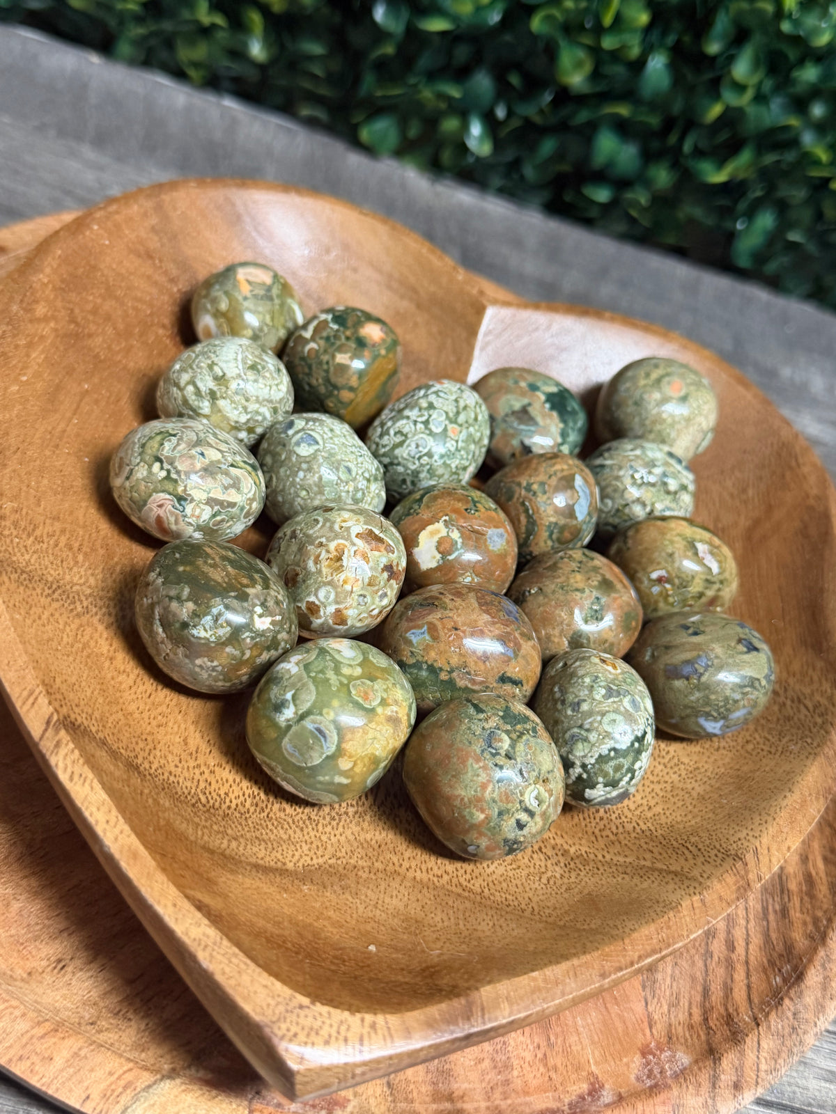 Rainforest Jasper Tumbles 2pc